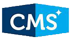 Custom CMS